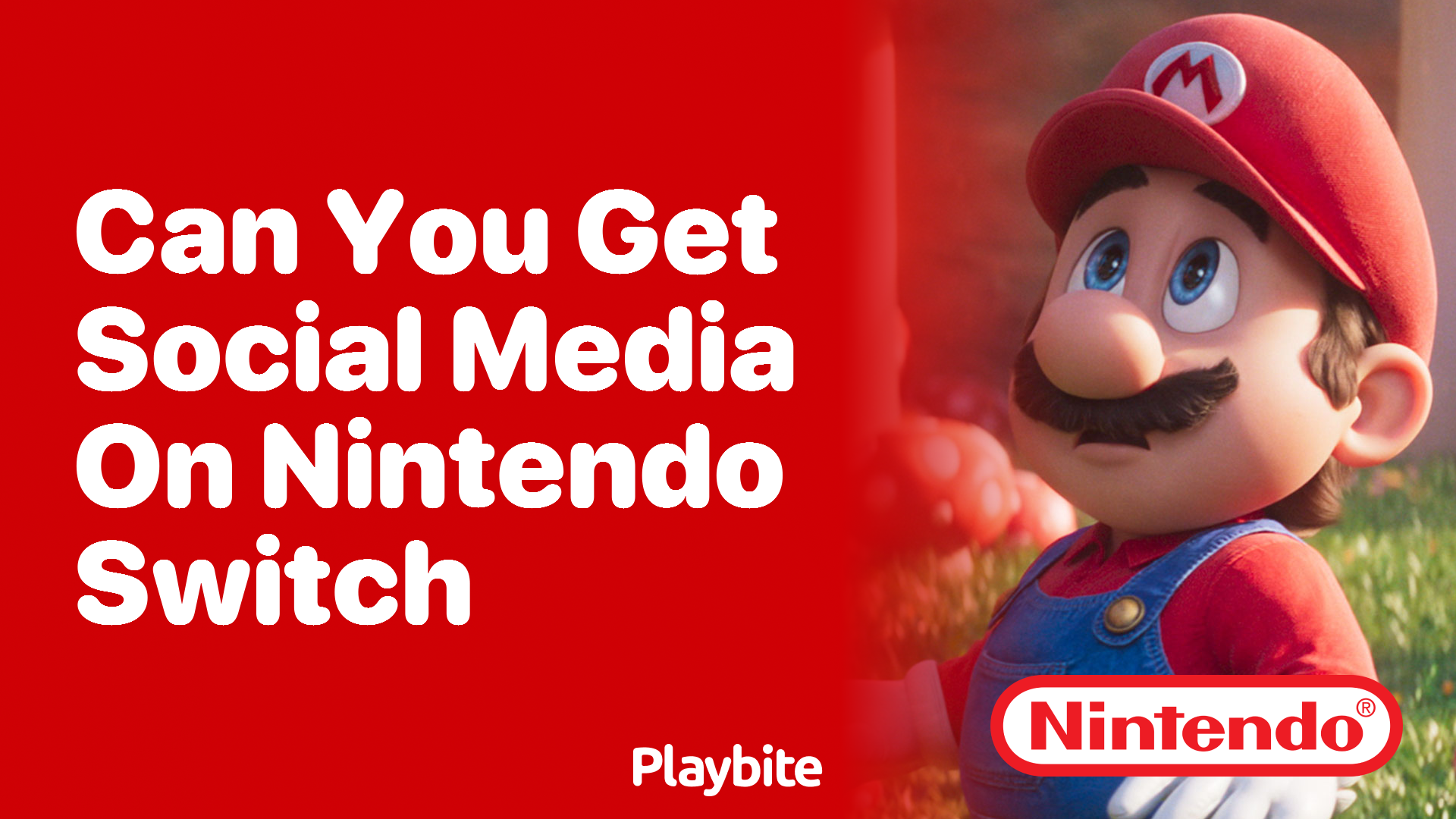 Can You Get Social Media on Nintendo Switch?