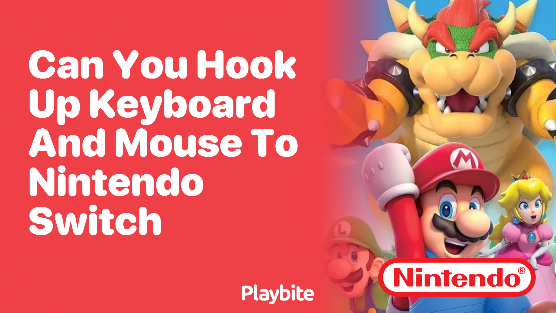 Can You Hook Up a Keyboard and Mouse to Your Nintendo Switch?