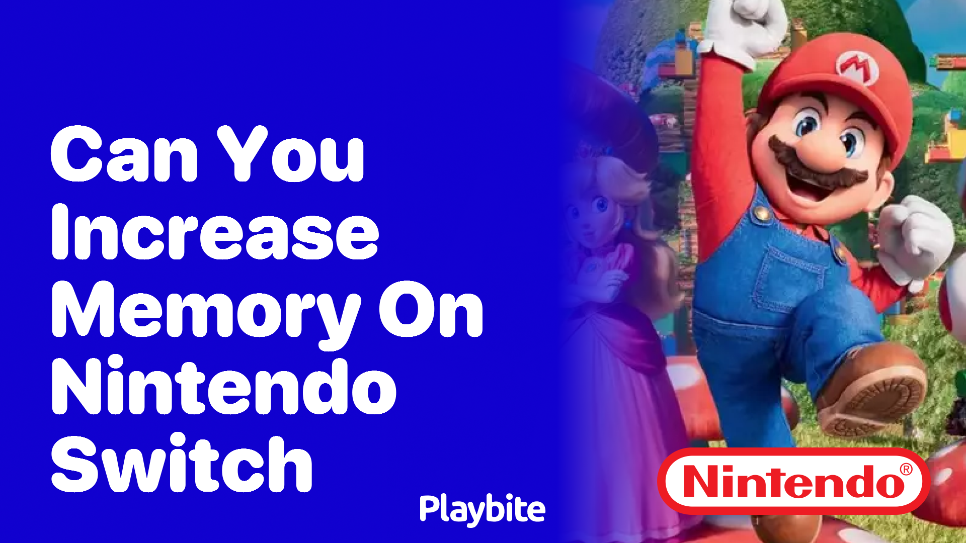 Can You Increase Memory on Nintendo Switch?