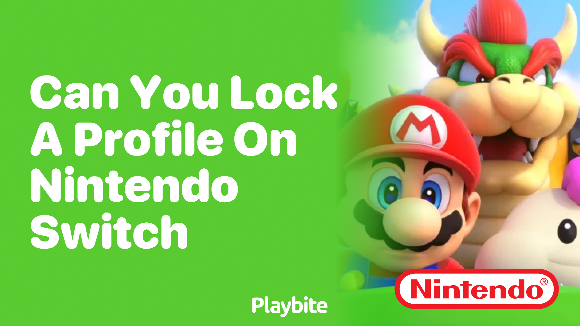 Can You Lock a Profile on Nintendo Switch?