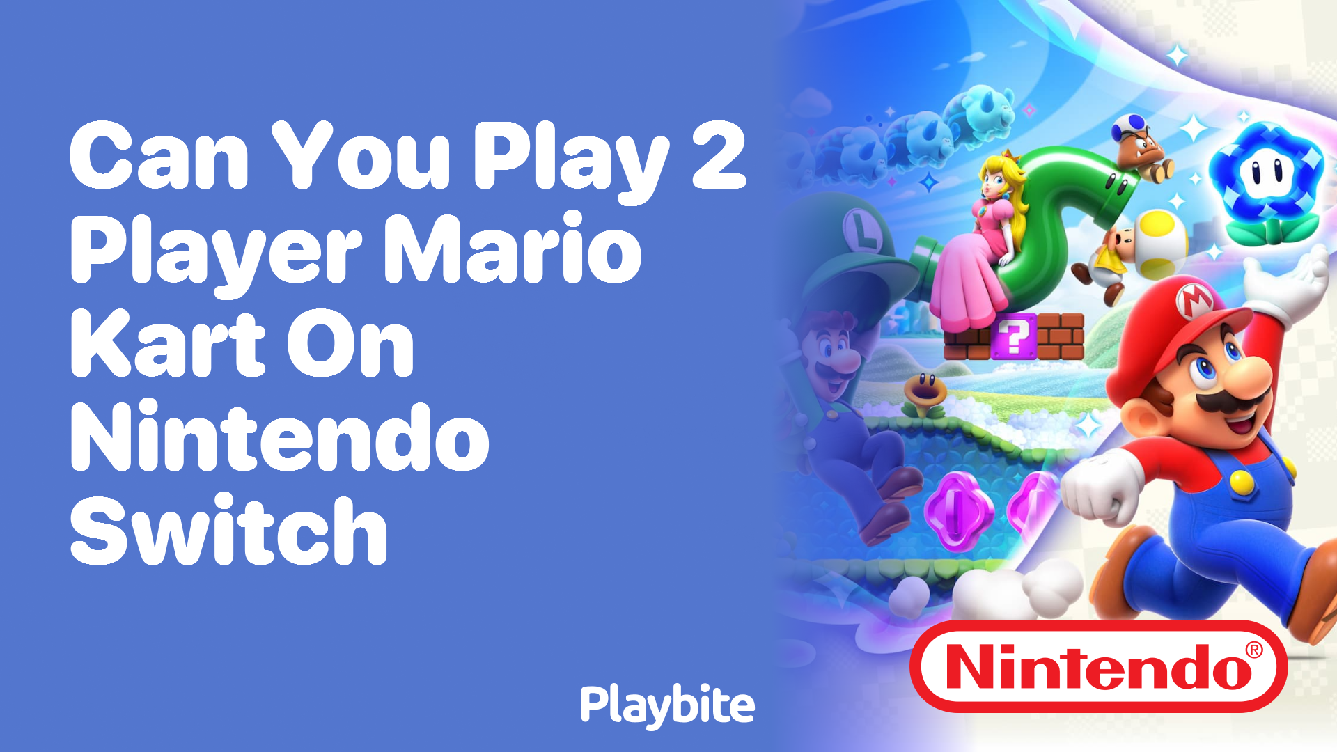 Can You Play 2 Player Mario Kart on Nintendo Switch?