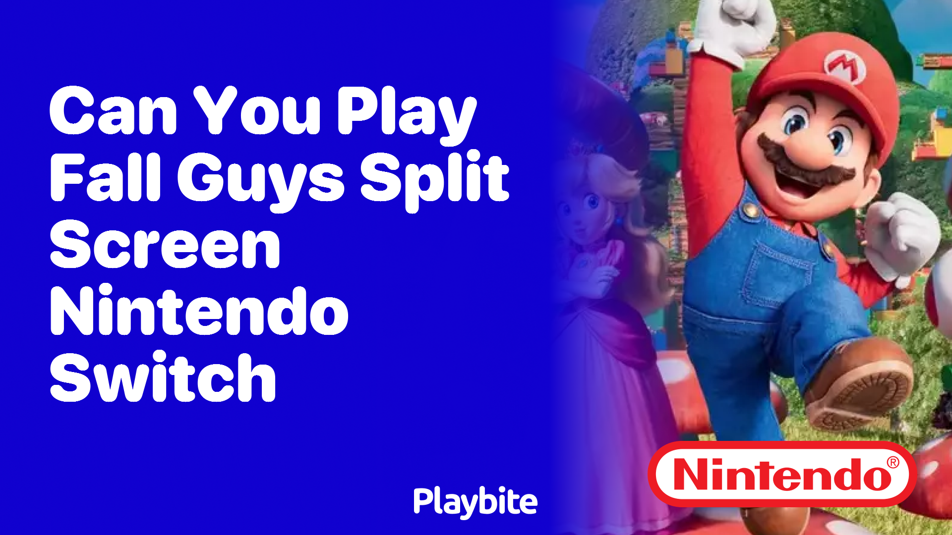 Can You Play Fall Guys Split Screen on Nintendo Switch?