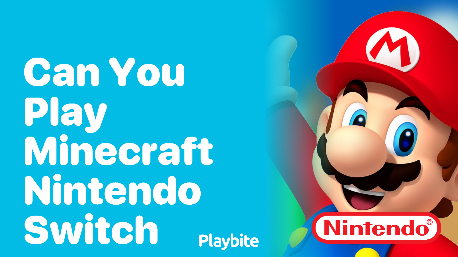 Can You Play Minecraft on a Nintendo Switch?