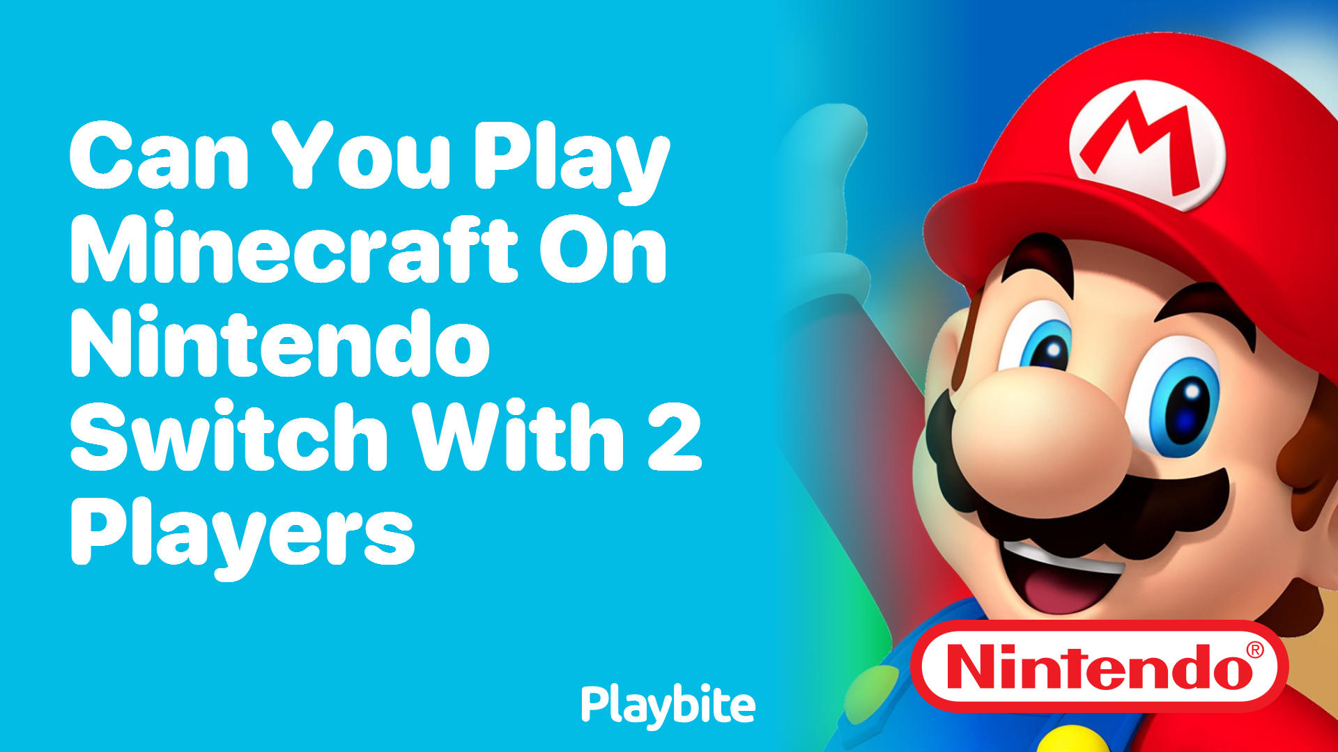 Can You Play Minecraft on Nintendo Switch With 2 Players?