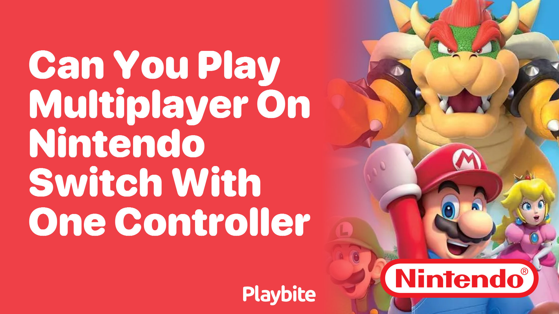 Can You Play Multiplayer on Nintendo Switch With One Controller?