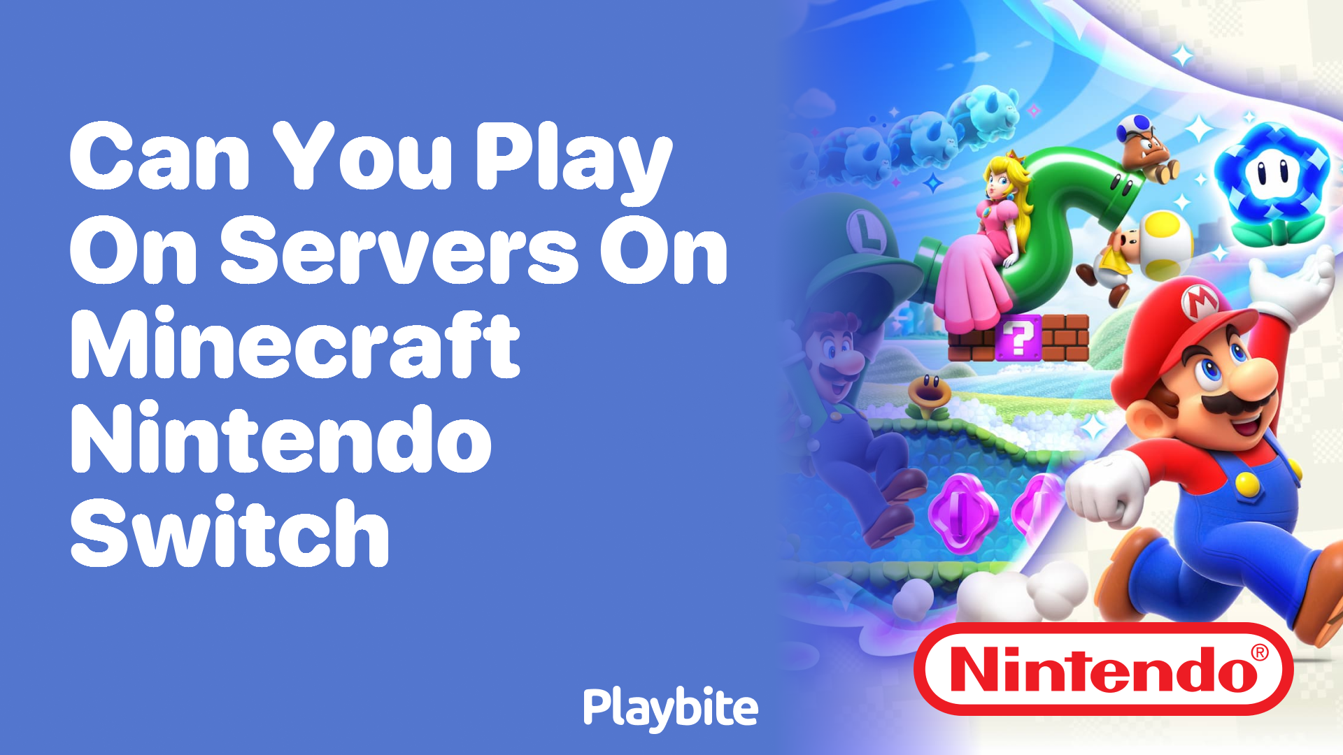 Can You Play on Servers on Minecraft Nintendo Switch?