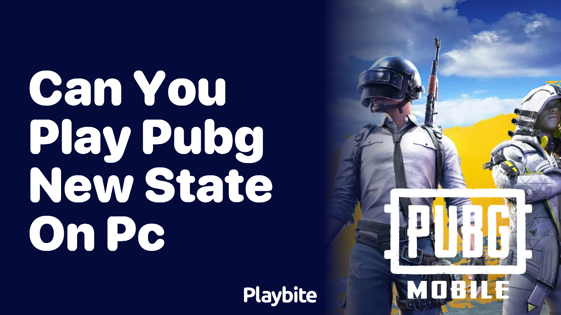 Can You Play PUBG New State on PC?