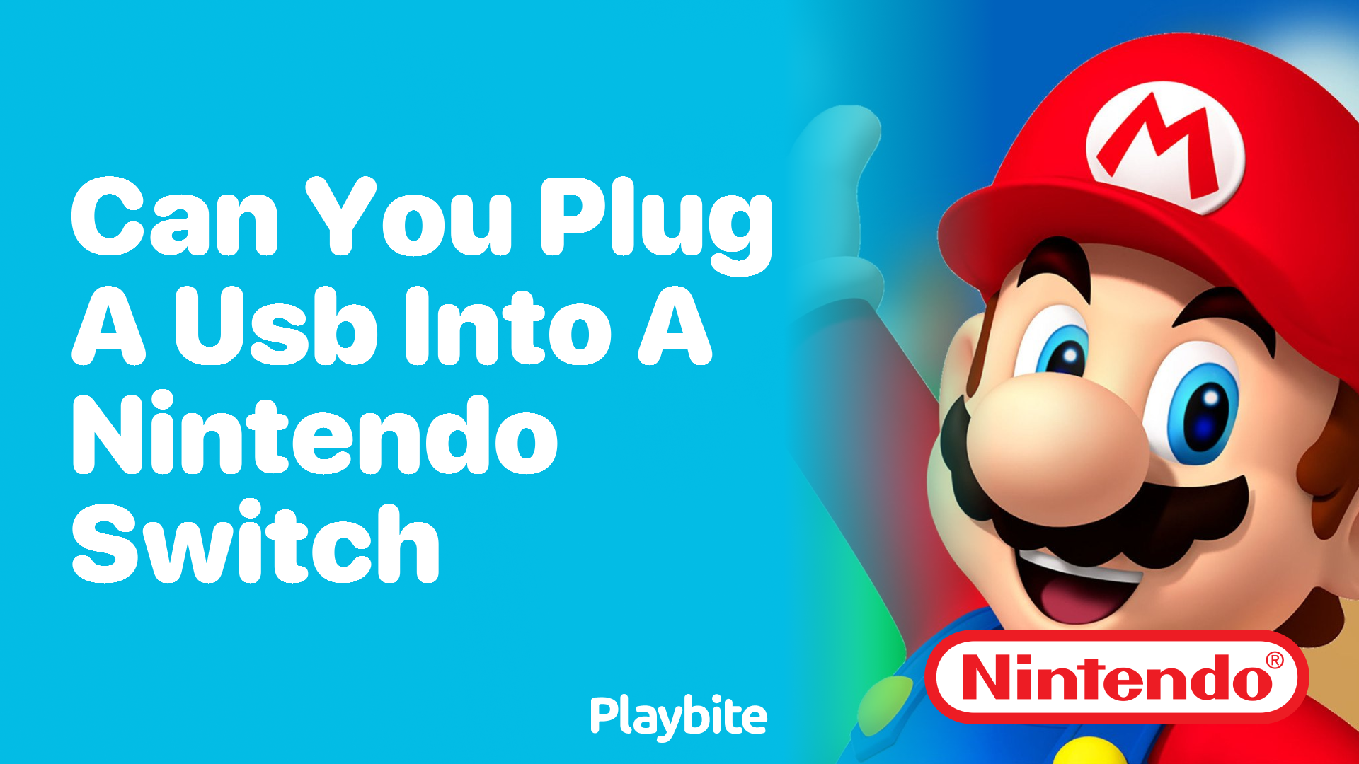 Can You Plug a USB into a Nintendo Switch?