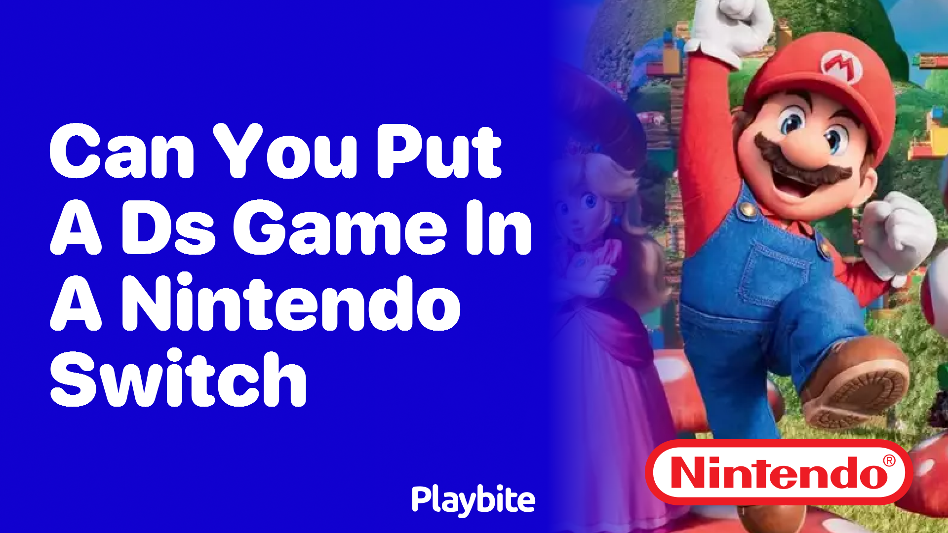 Can You Put a DS Game in a Nintendo Switch?