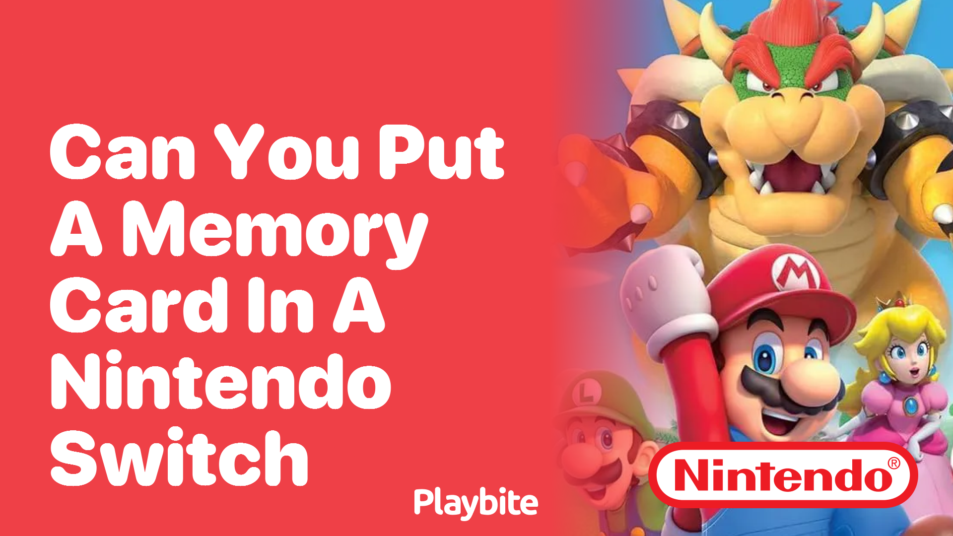Can You Put a Memory Card in a Nintendo Switch?
