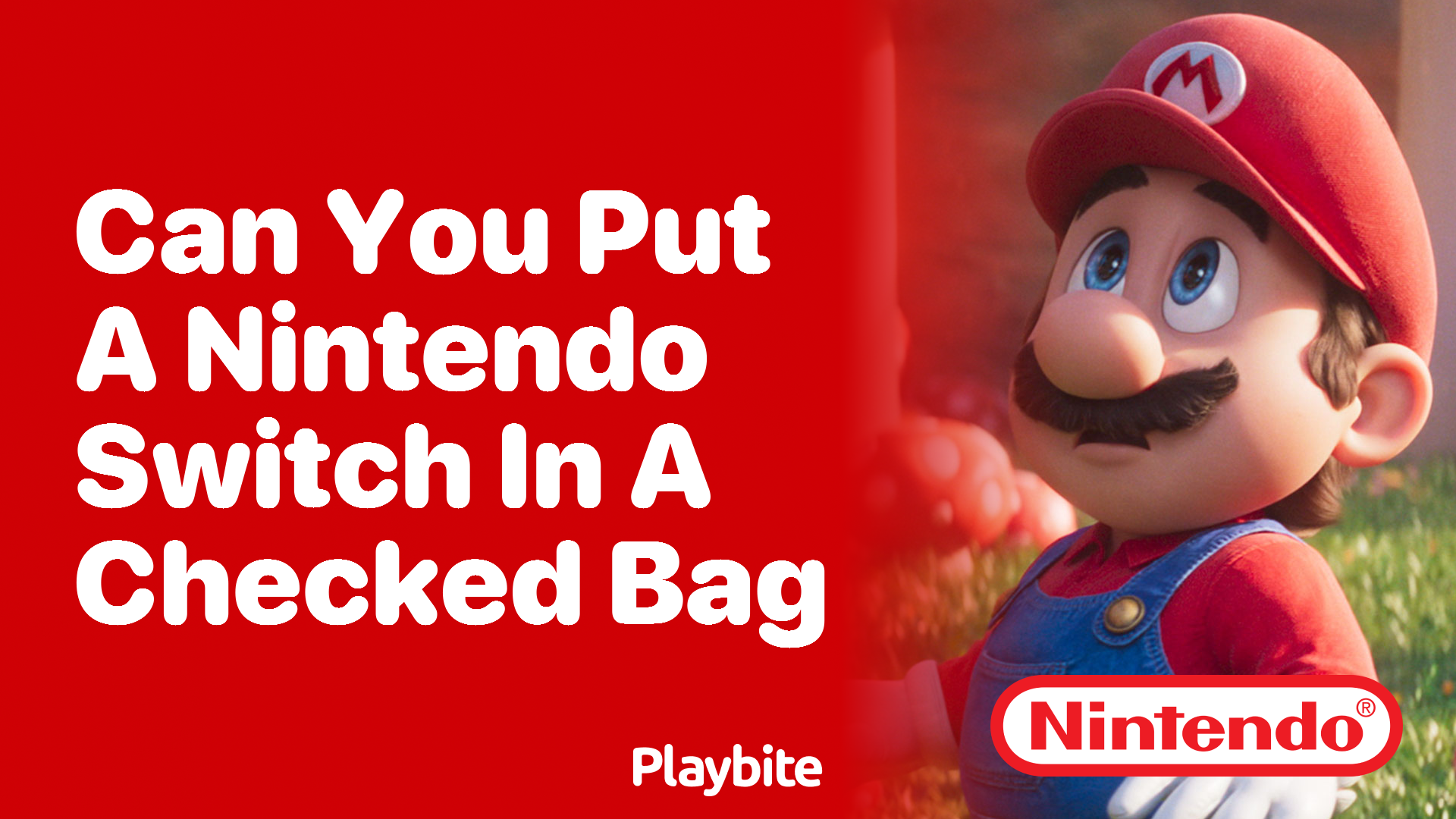 Can You Put a Nintendo Switch in a Checked Bag?