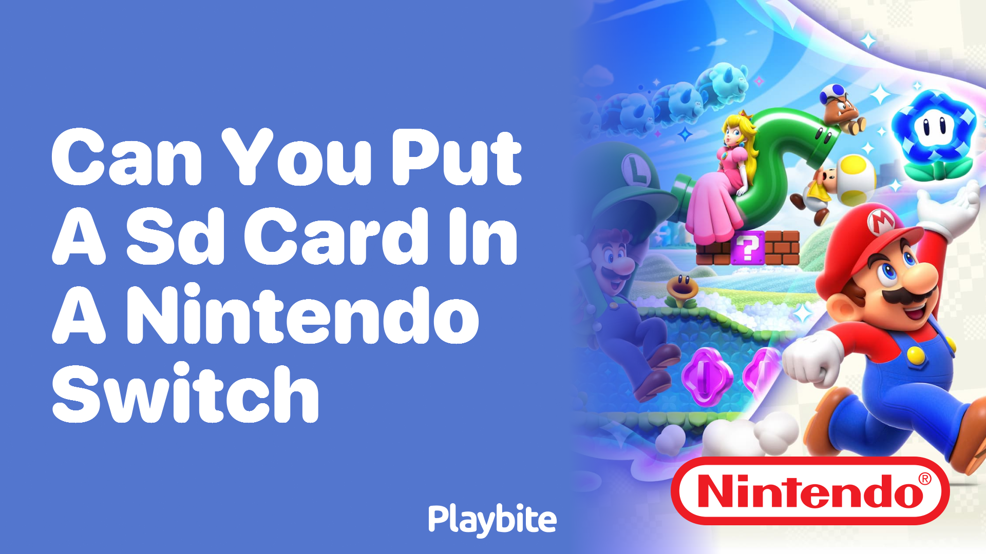 Can You Put an SD Card in a Nintendo Switch?
