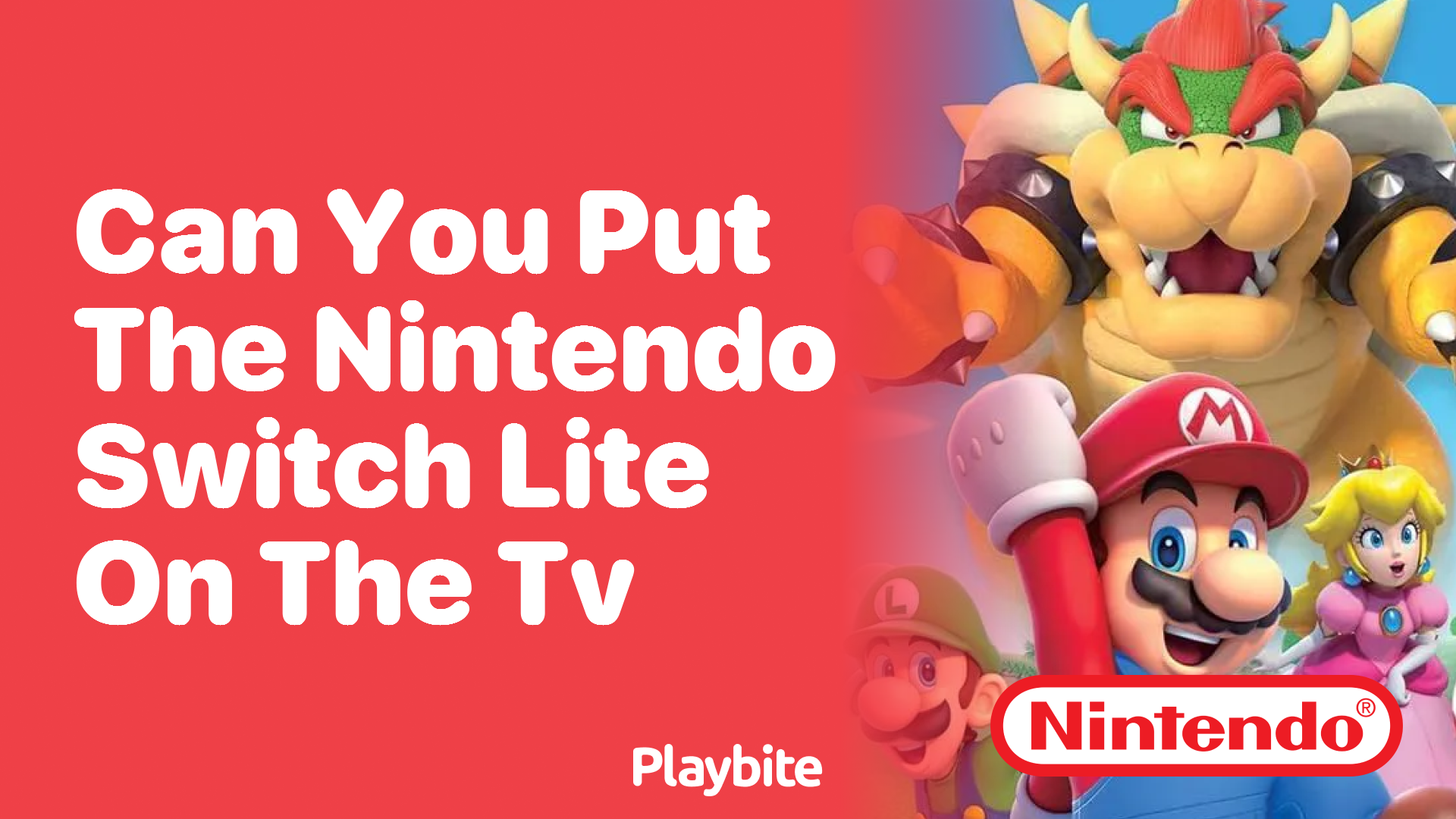 Can You Put the Nintendo Switch Lite on the TV?