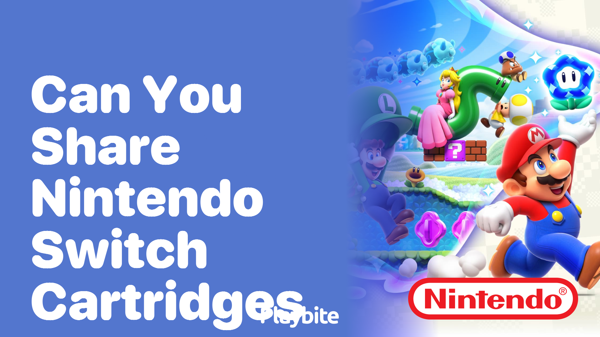 Can You Share Nintendo Switch Cartridges?