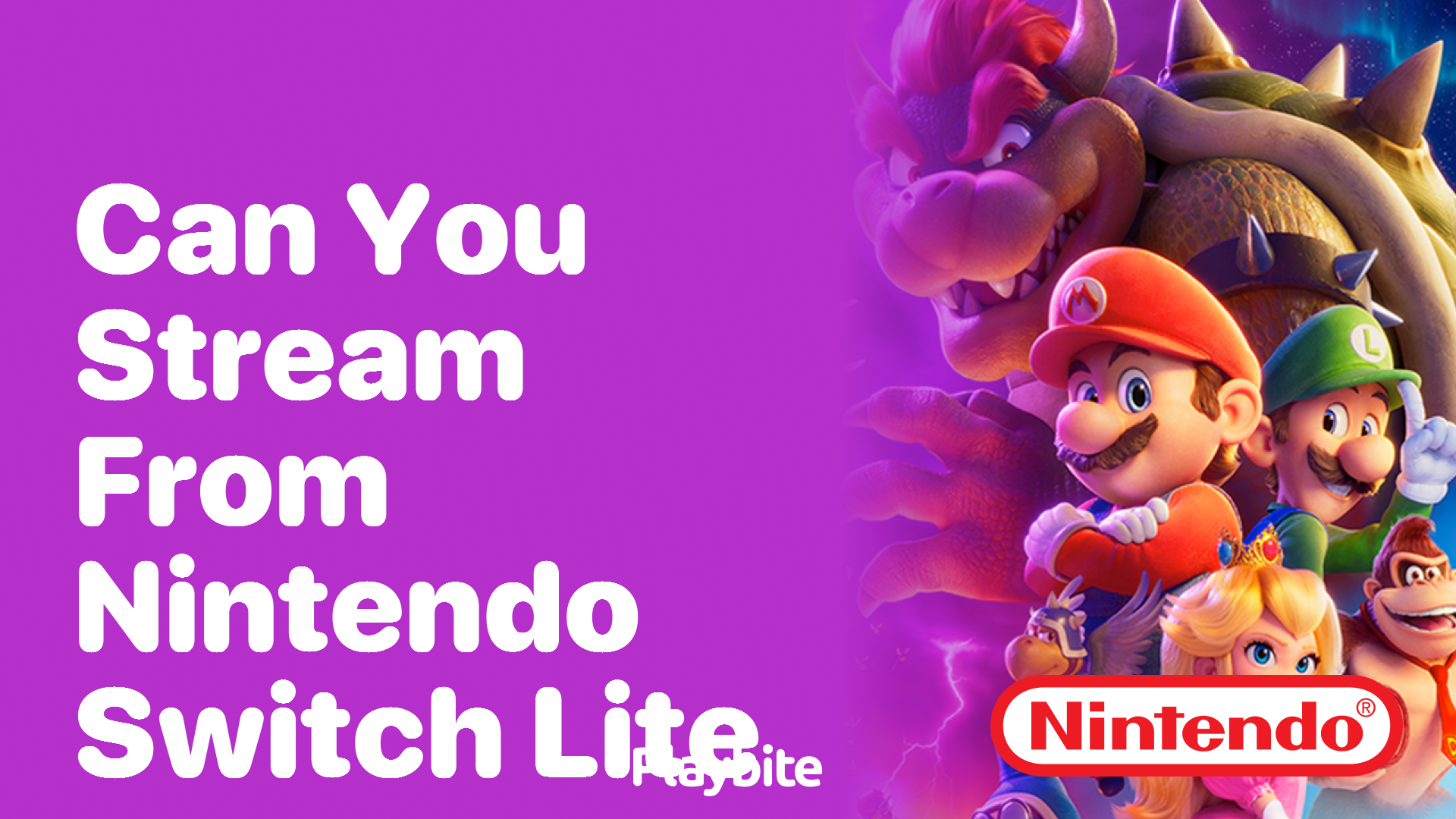 Can You Stream from Nintendo Switch Lite?