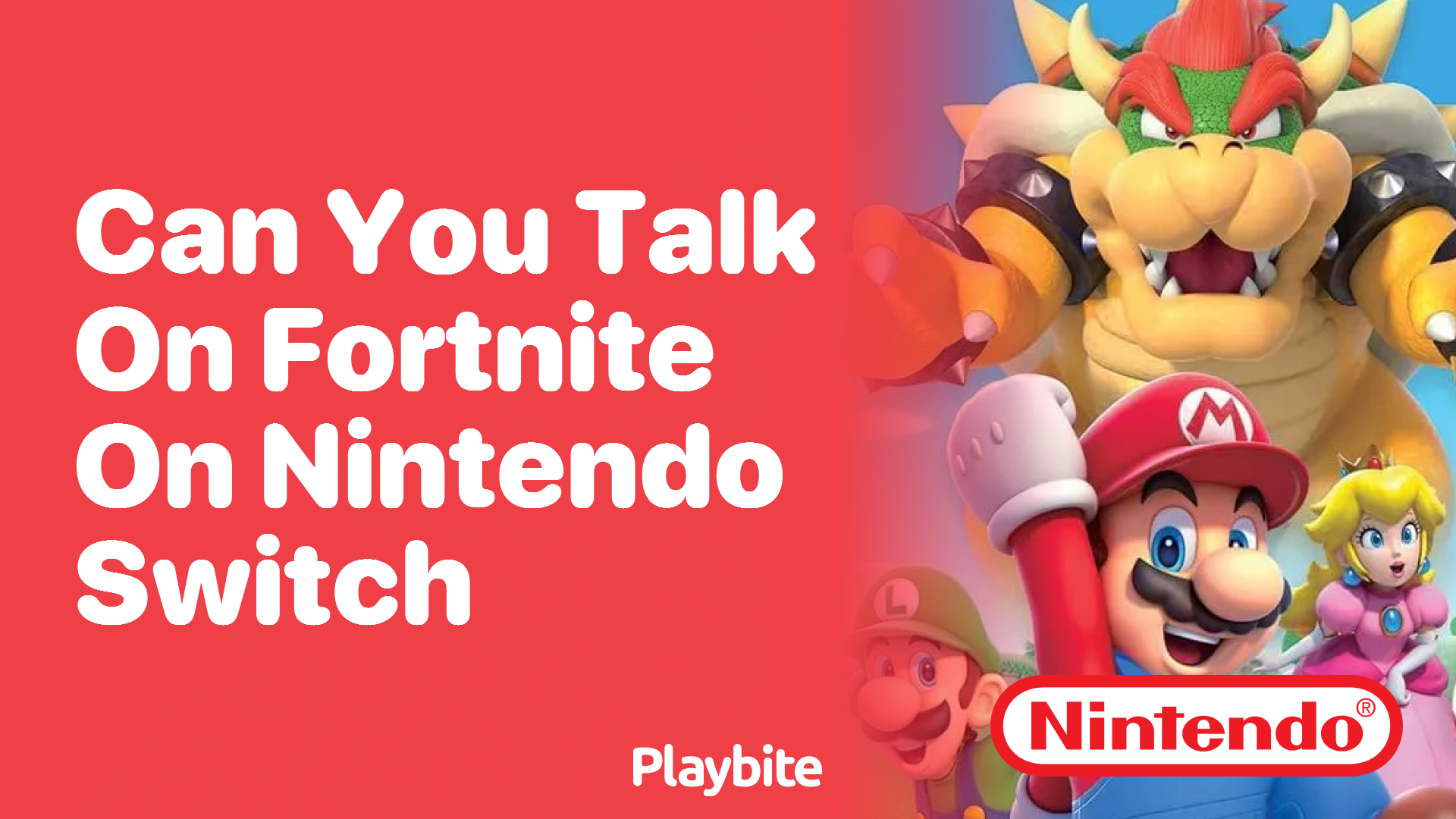 Can You Talk on Fortnite on Nintendo Switch?
