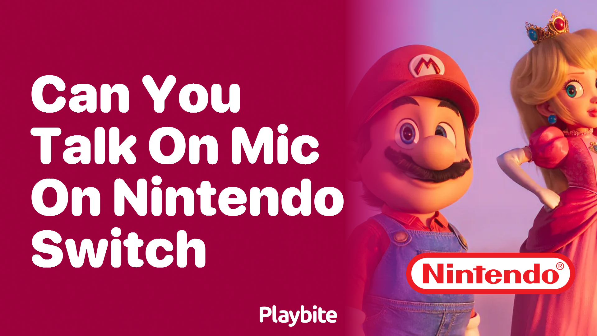 Can You Talk on Mic on Nintendo Switch?