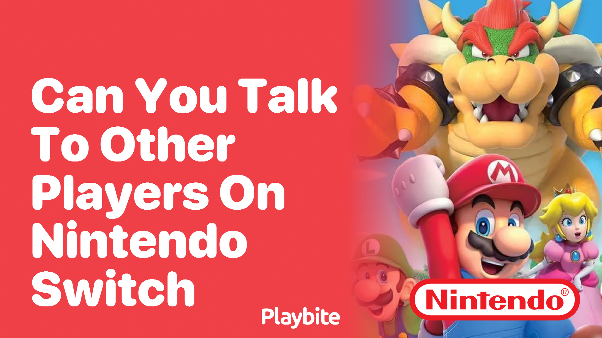 Can You Talk to Other Players on Nintendo Switch?