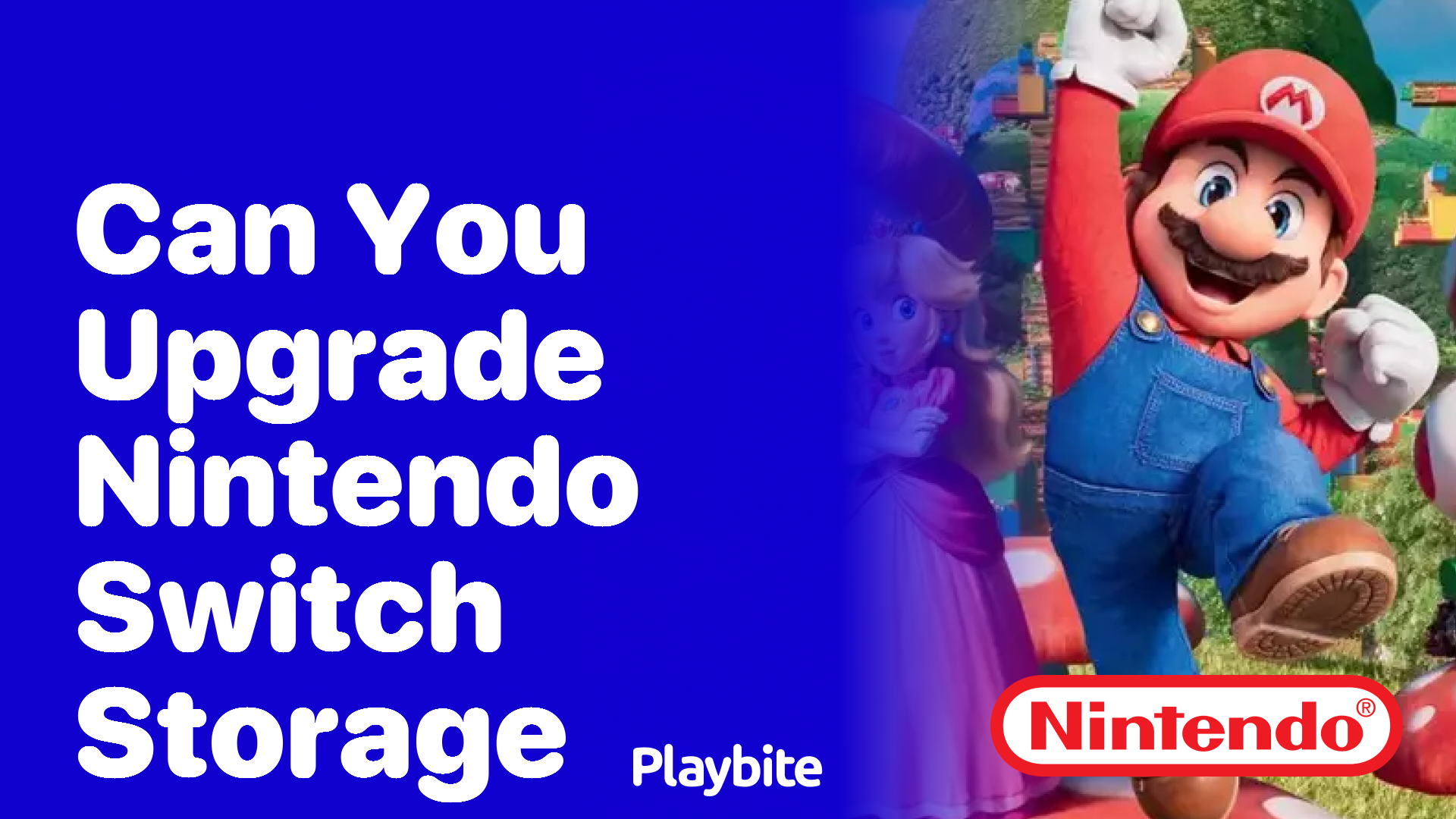 Can You Upgrade Nintendo Switch Storage?