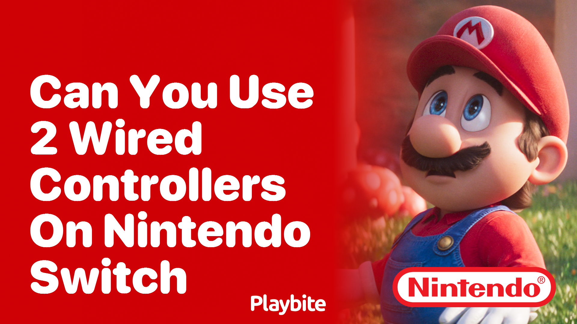 Can You Use 2 Wired Controllers on Nintendo Switch?