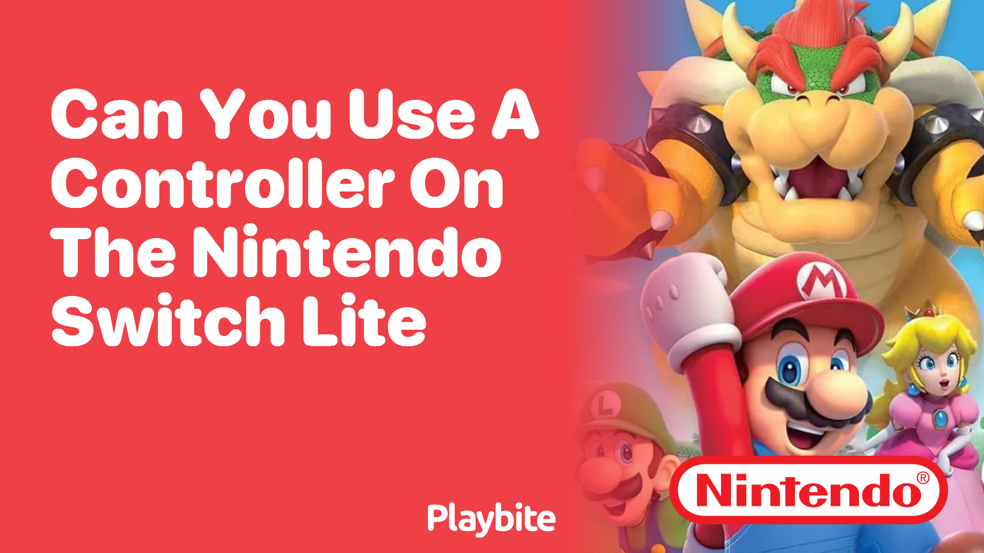 Can You Use a Controller on the Nintendo Switch Lite?