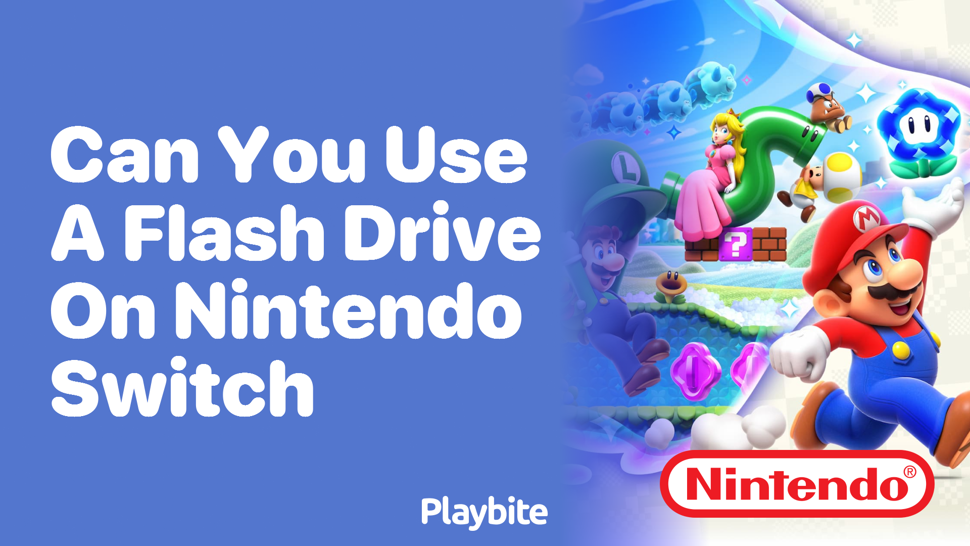 Can You Use a Flash Drive on the Nintendo Switch?