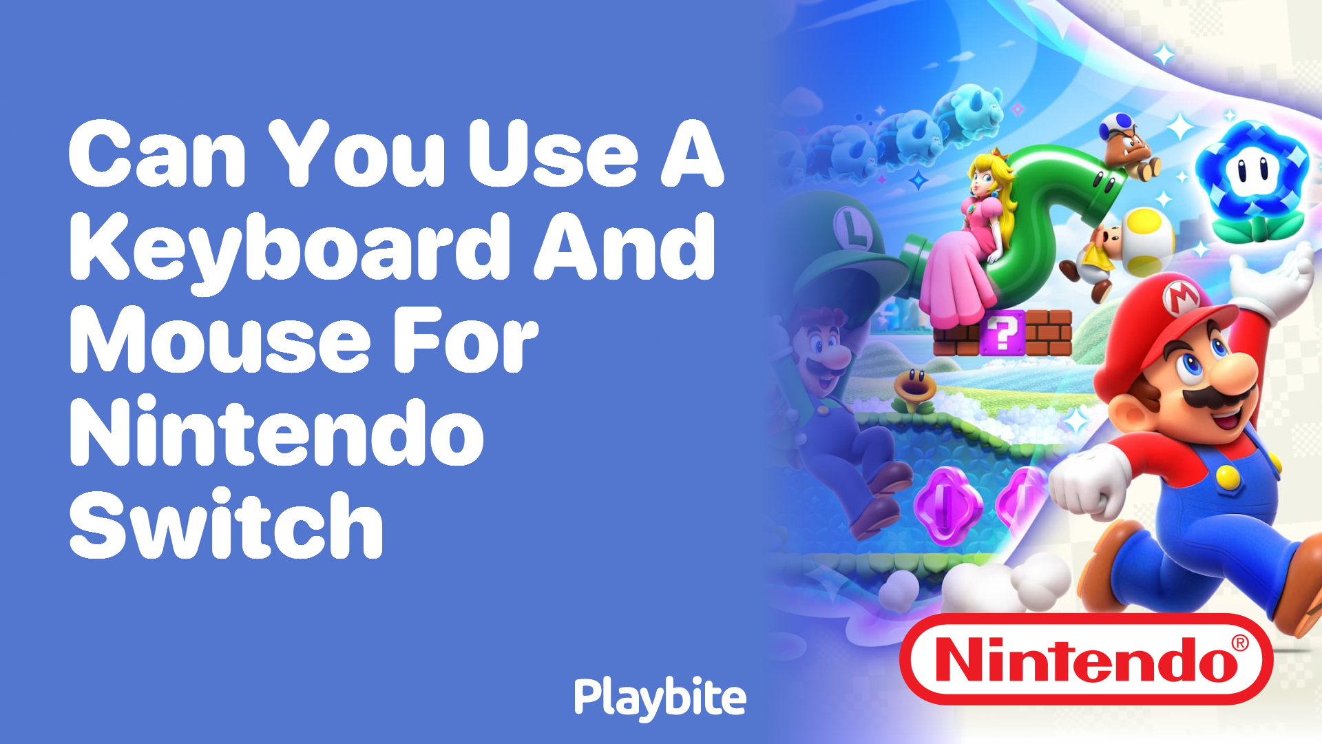 Can You Use a Keyboard and Mouse for Nintendo Switch?