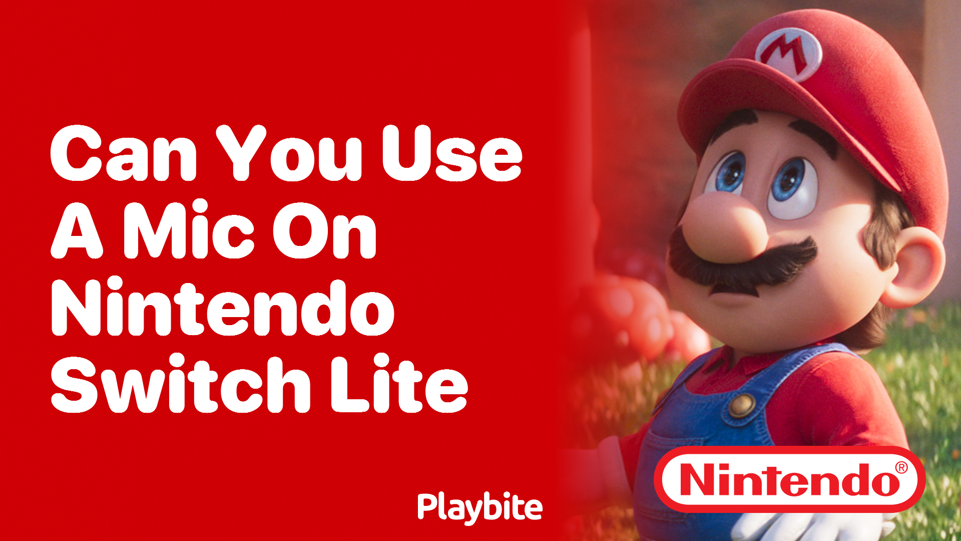 Can You Use a Mic on Nintendo Switch Lite?
