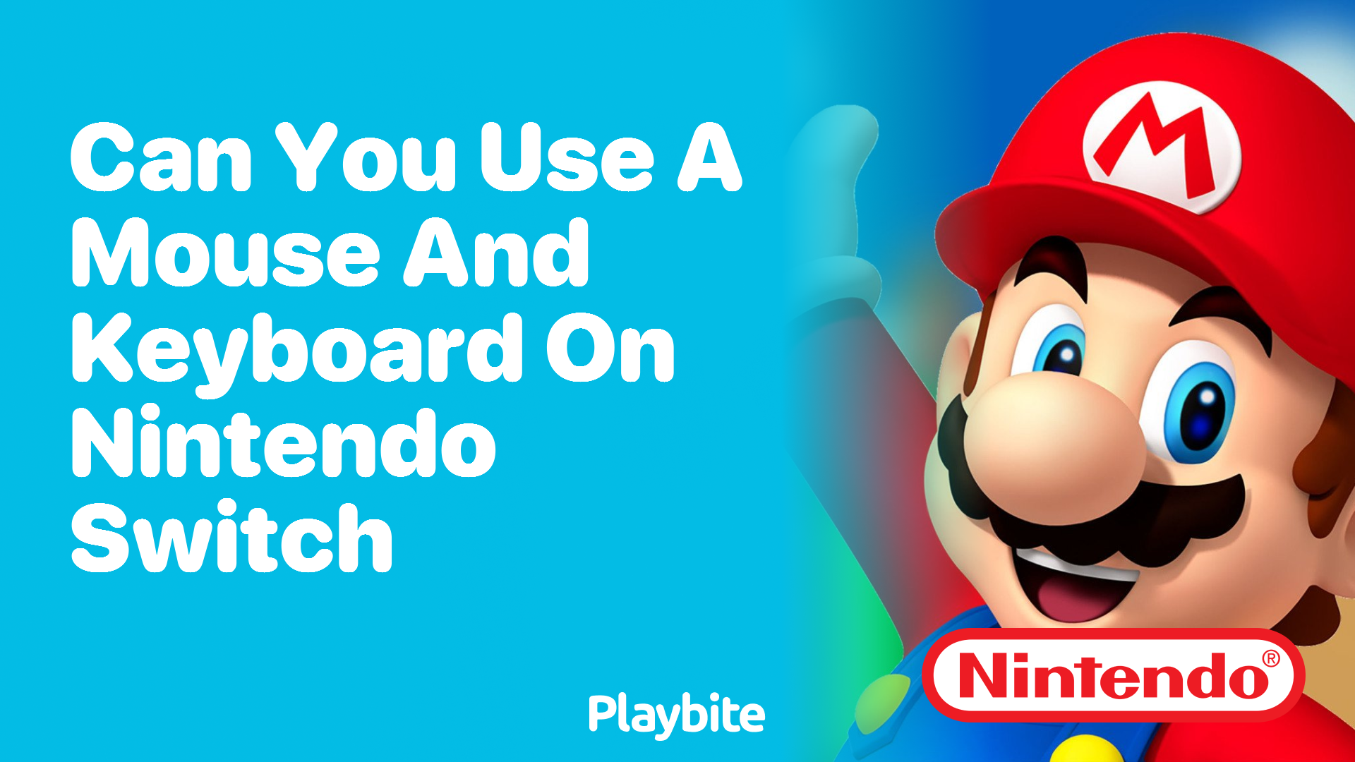 Can You Use a Mouse and Keyboard on Nintendo Switch?