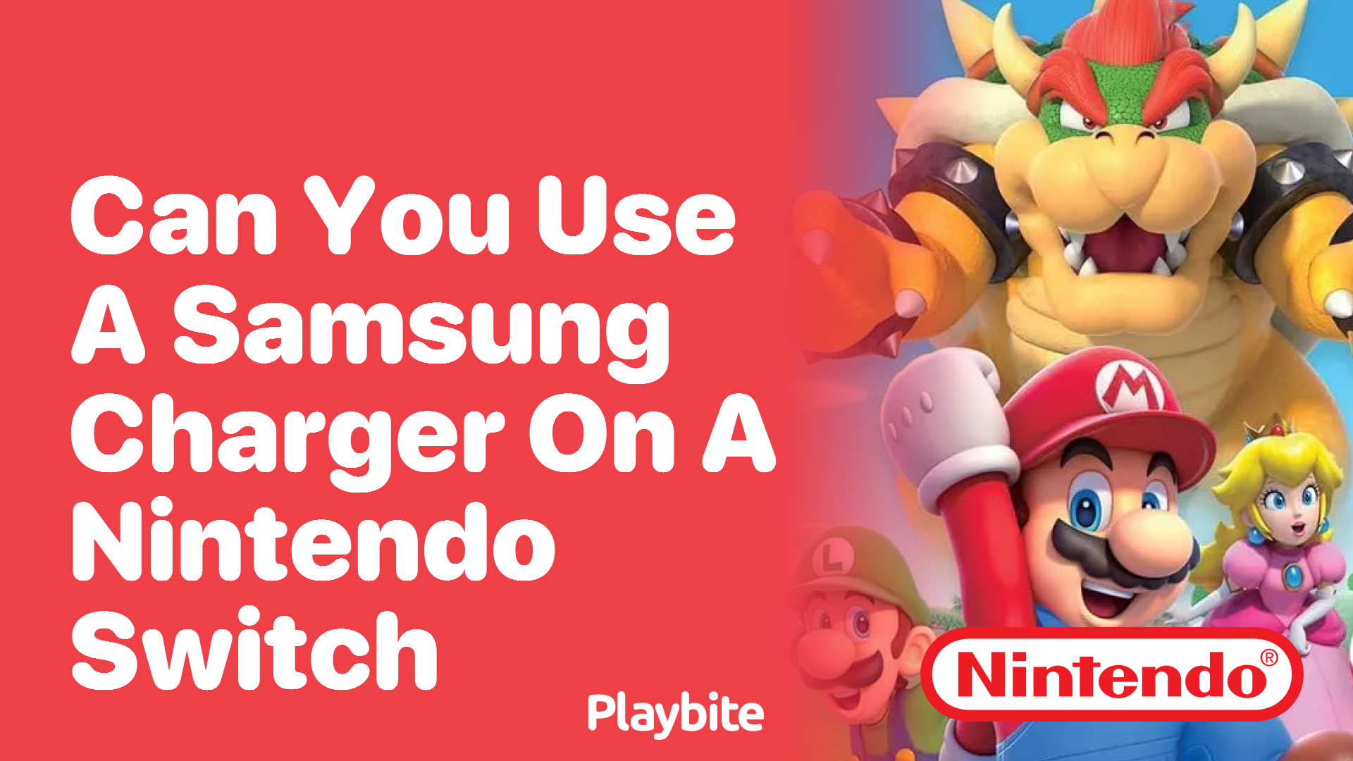 Can You Use a Samsung Charger on a Nintendo Switch?