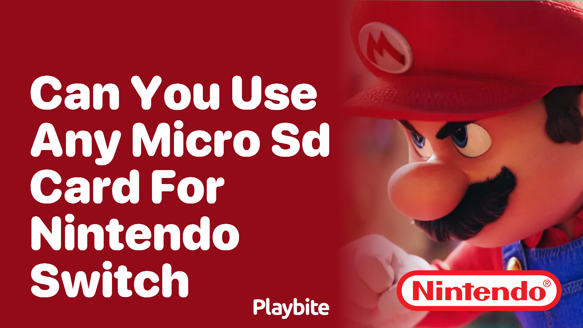 Can You Use Any Micro SD Card for Nintendo Switch?