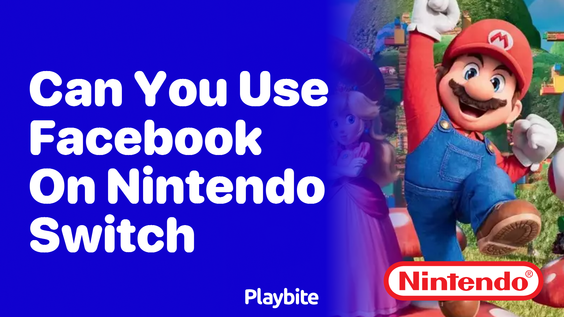 Can You Use Facebook on Nintendo Switch?