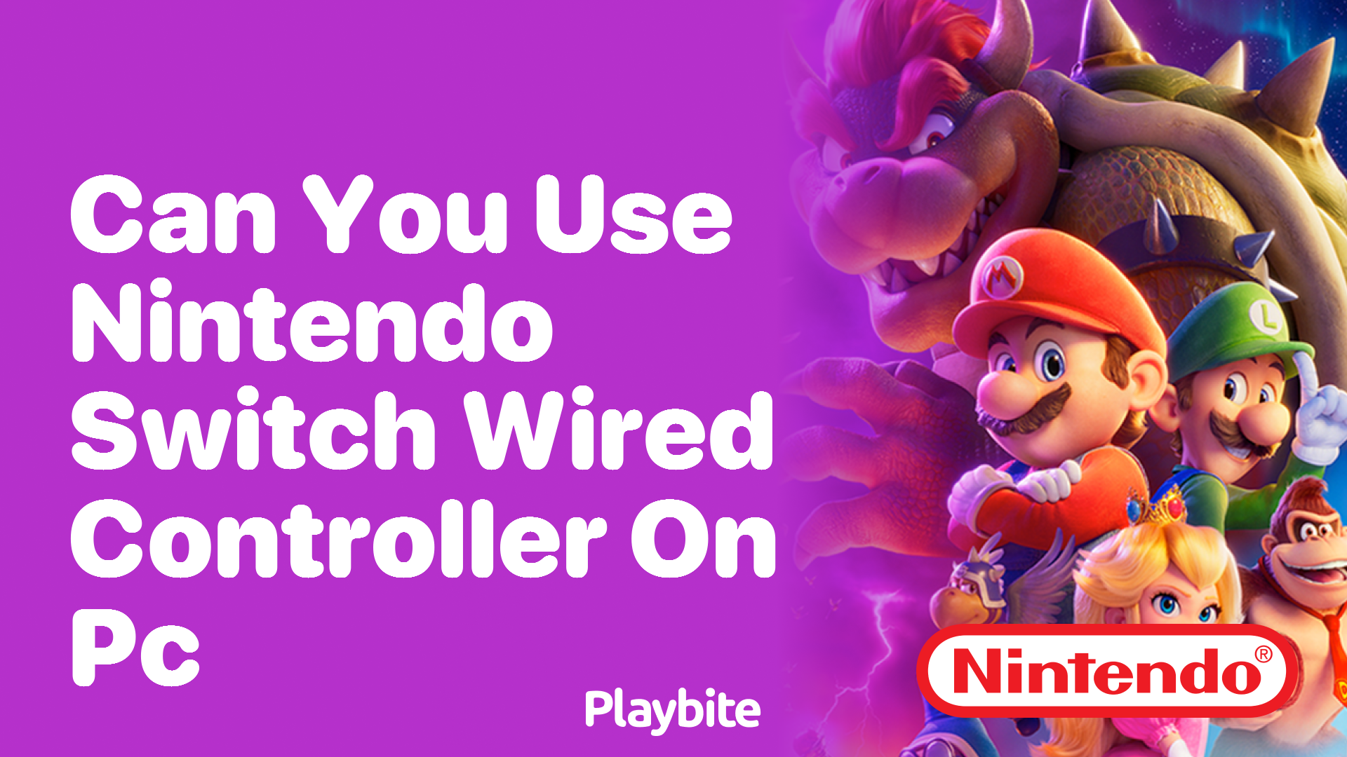 Can You Use a Nintendo Switch Wired Controller on a PC?