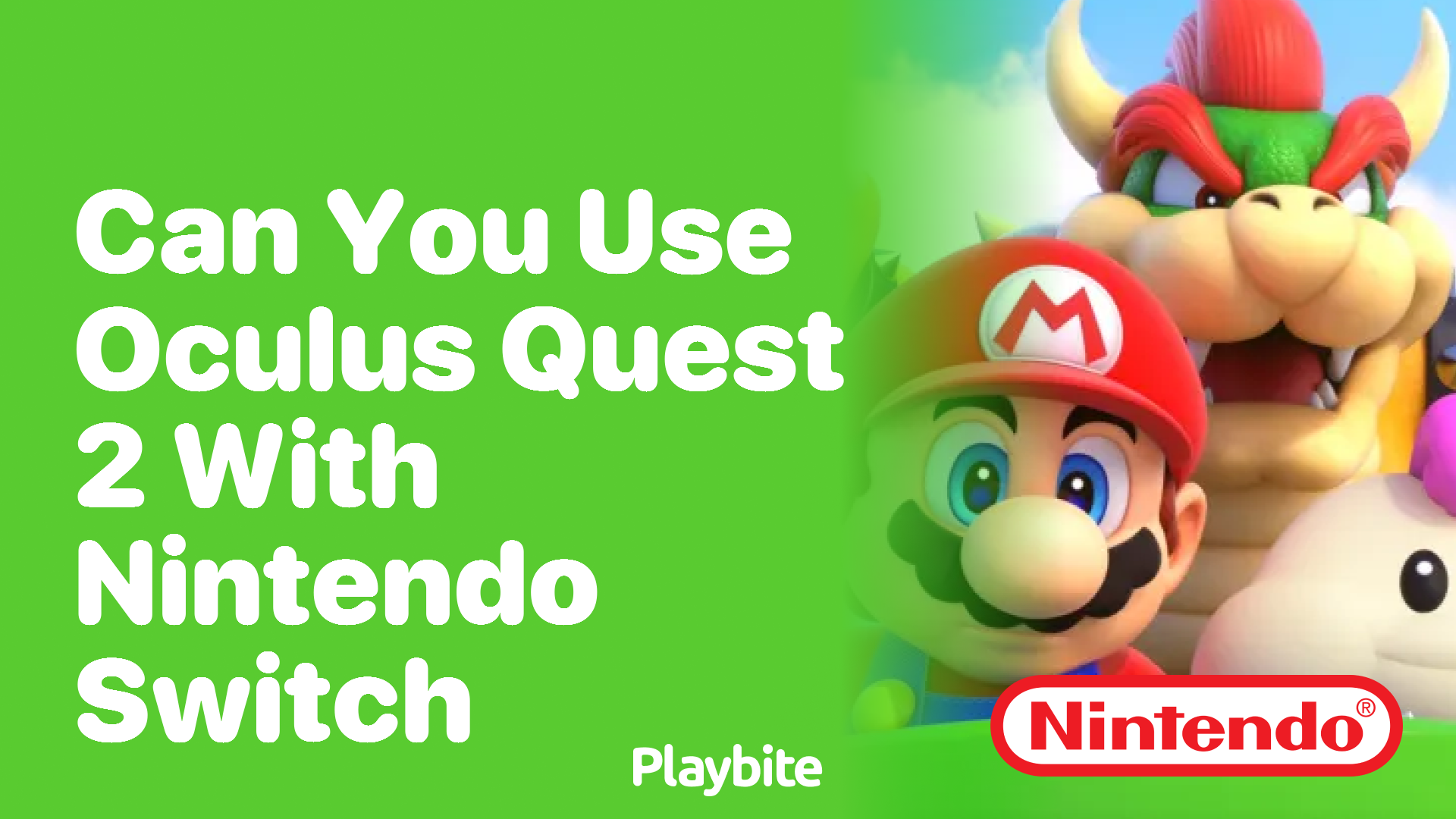 Can You Use Oculus Quest 2 with Nintendo Switch?