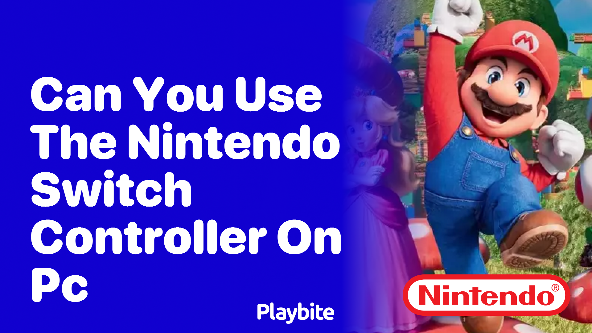 Can You Use the Nintendo Switch Controller on PC?