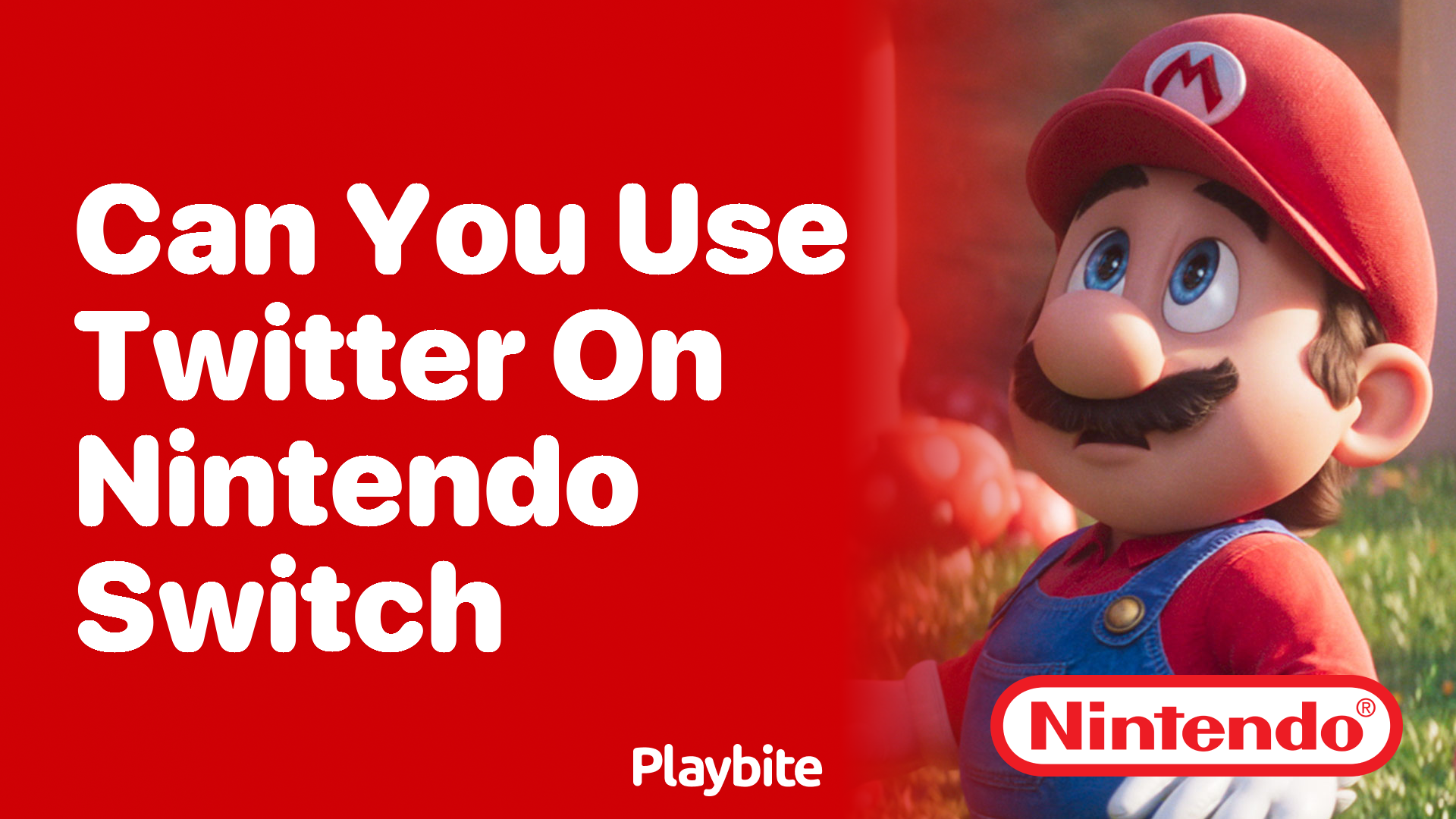 Can You Use Twitter on Nintendo Switch?