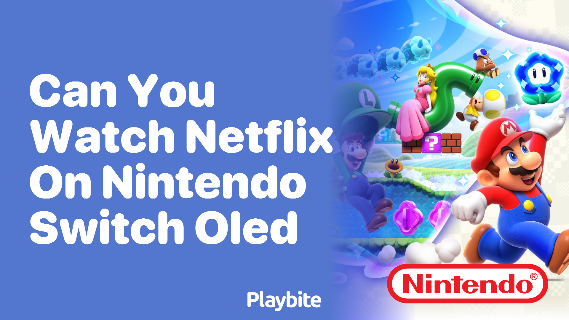 Can You Watch Netflix on Nintendo Switch OLED?