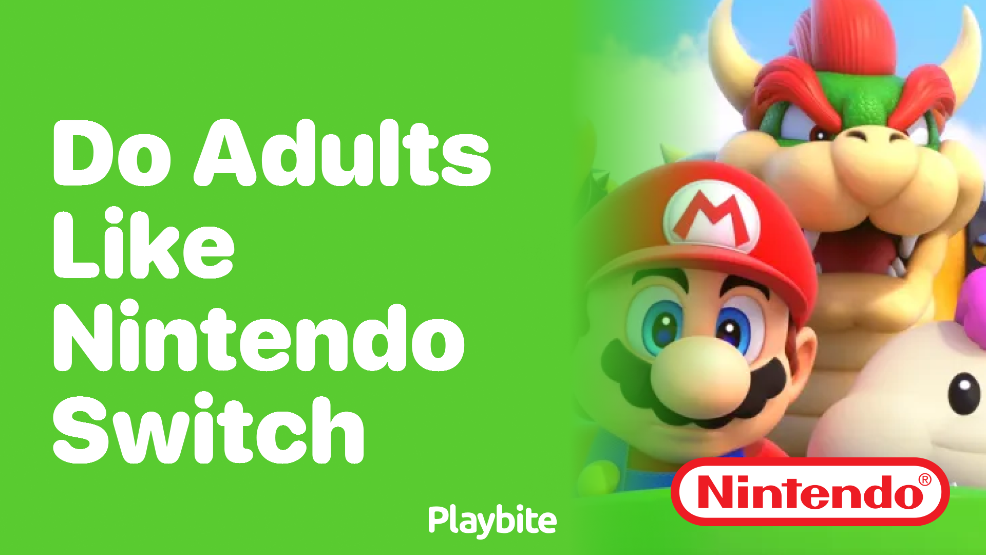 Do Adults Enjoy the Nintendo Switch?