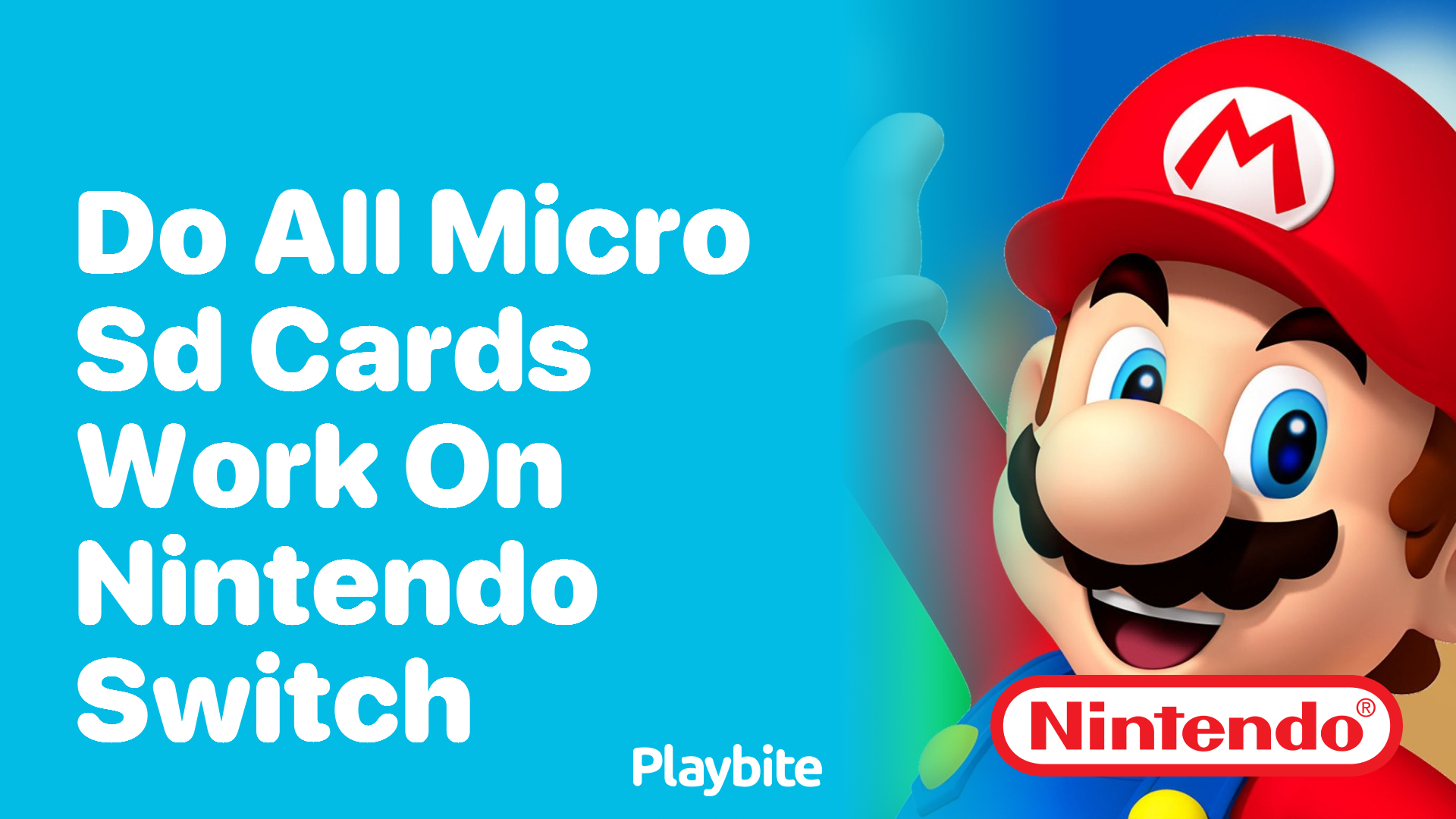 Do All Micro SD Cards Work on Nintendo Switch?