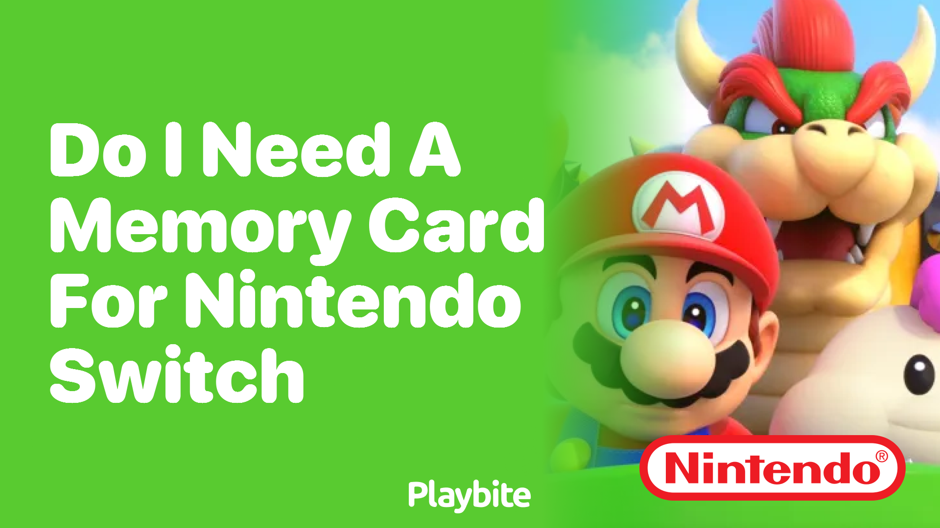 Do You Need a Memory Card for Your Nintendo Switch?