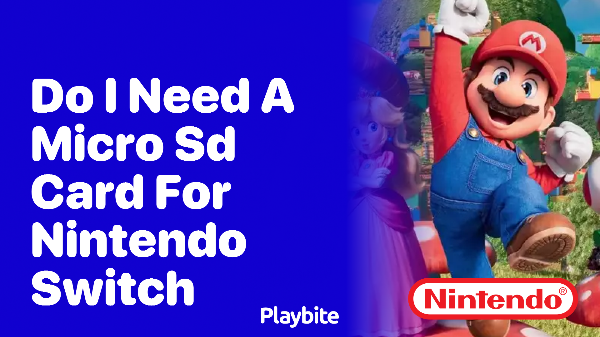 Do You Need a Micro SD Card for Your Nintendo Switch?