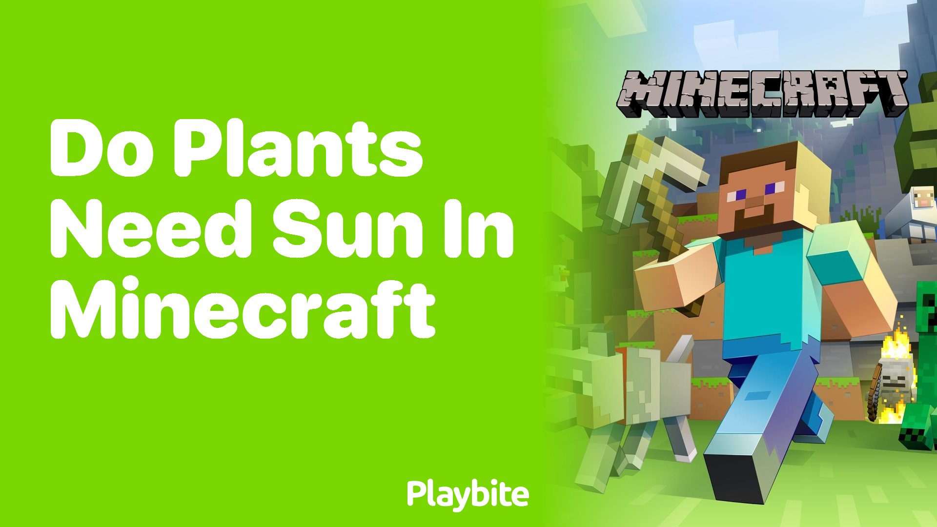 Do Plants Need Sun in Minecraft?