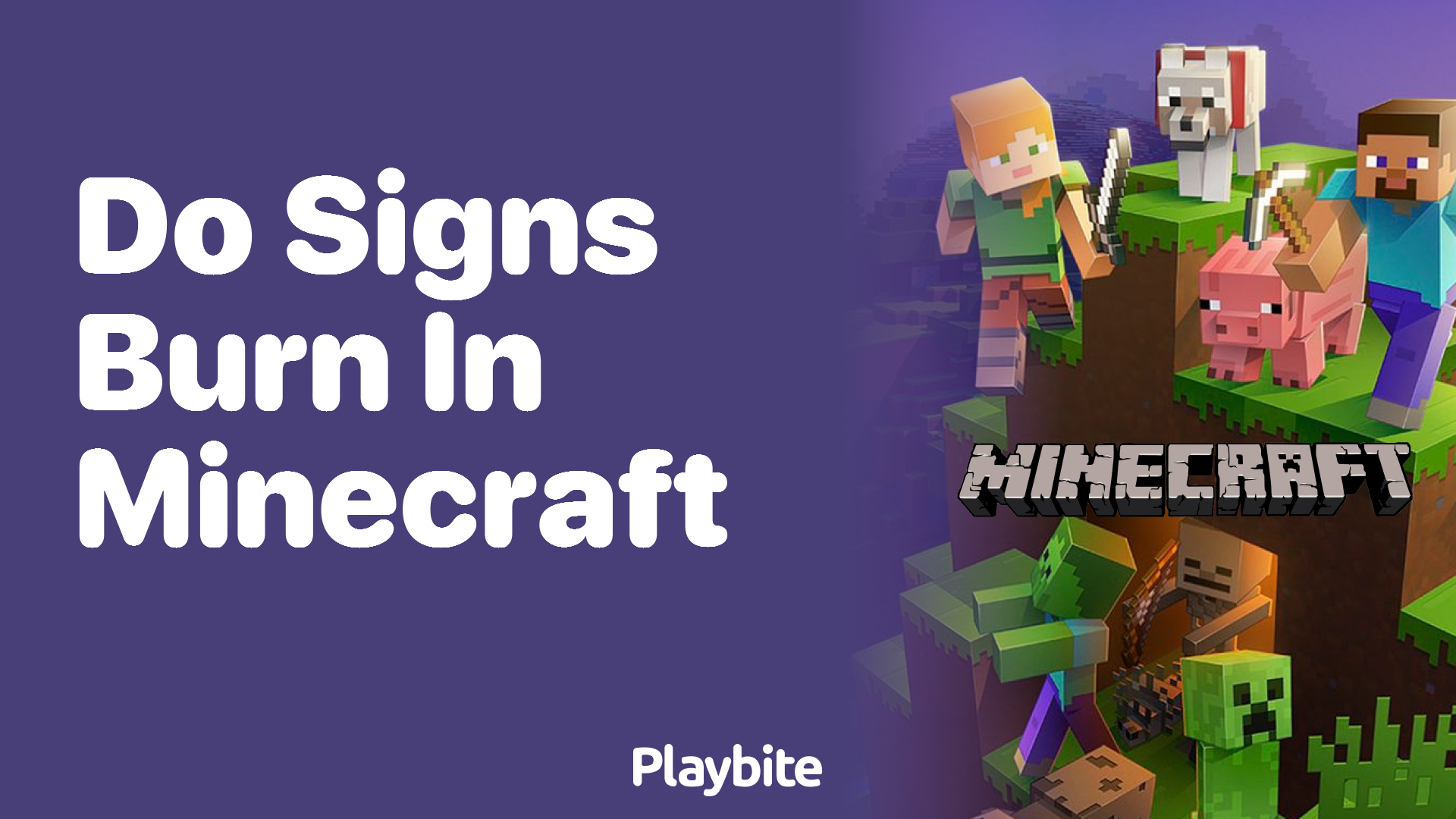 Do Signs Burn in Minecraft? Unveiling the Answer