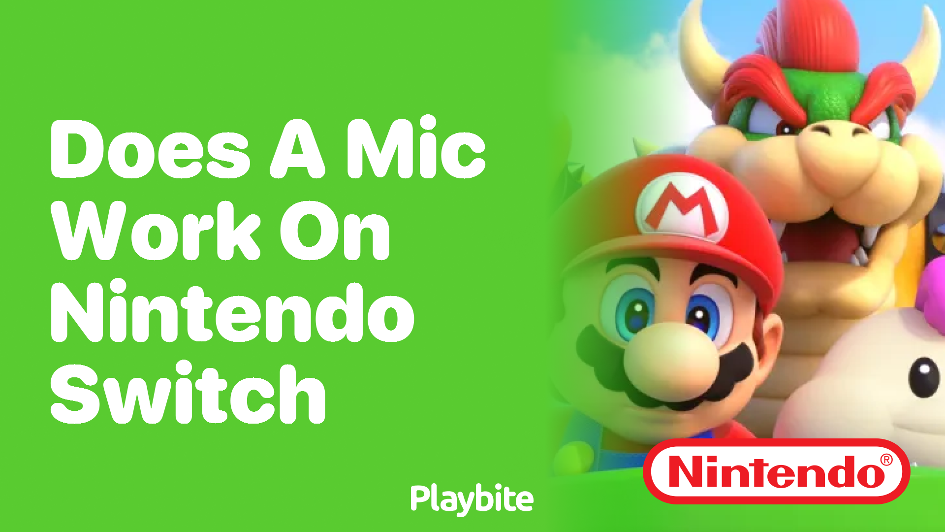 Does a Mic Work on Nintendo Switch?