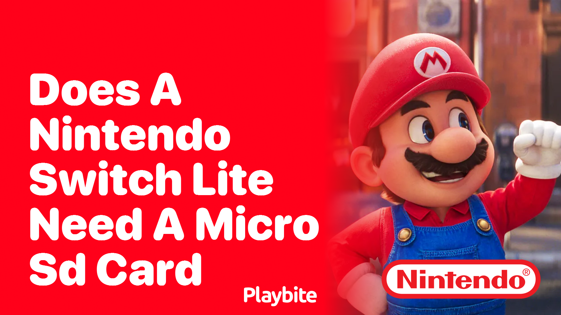 Does a Nintendo Switch Lite Need a Micro SD Card?
