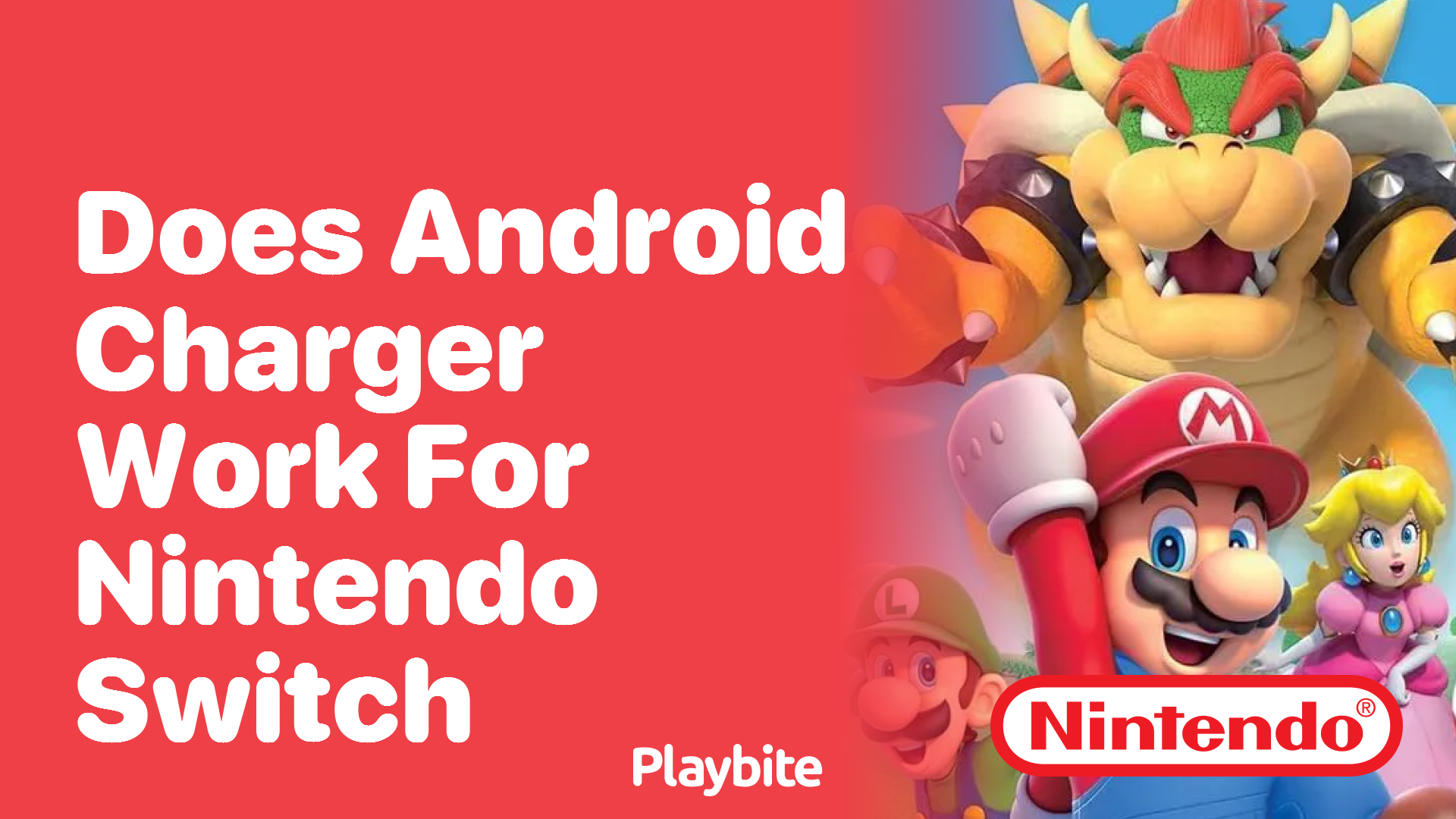 Does an Android Charger Work for Nintendo Switch?