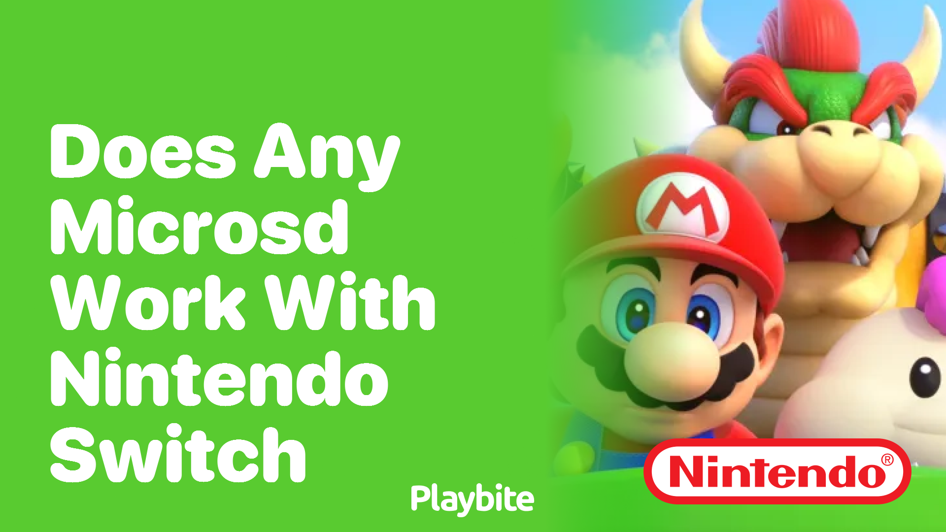 Does Any MicroSD Card Work with the Nintendo Switch?