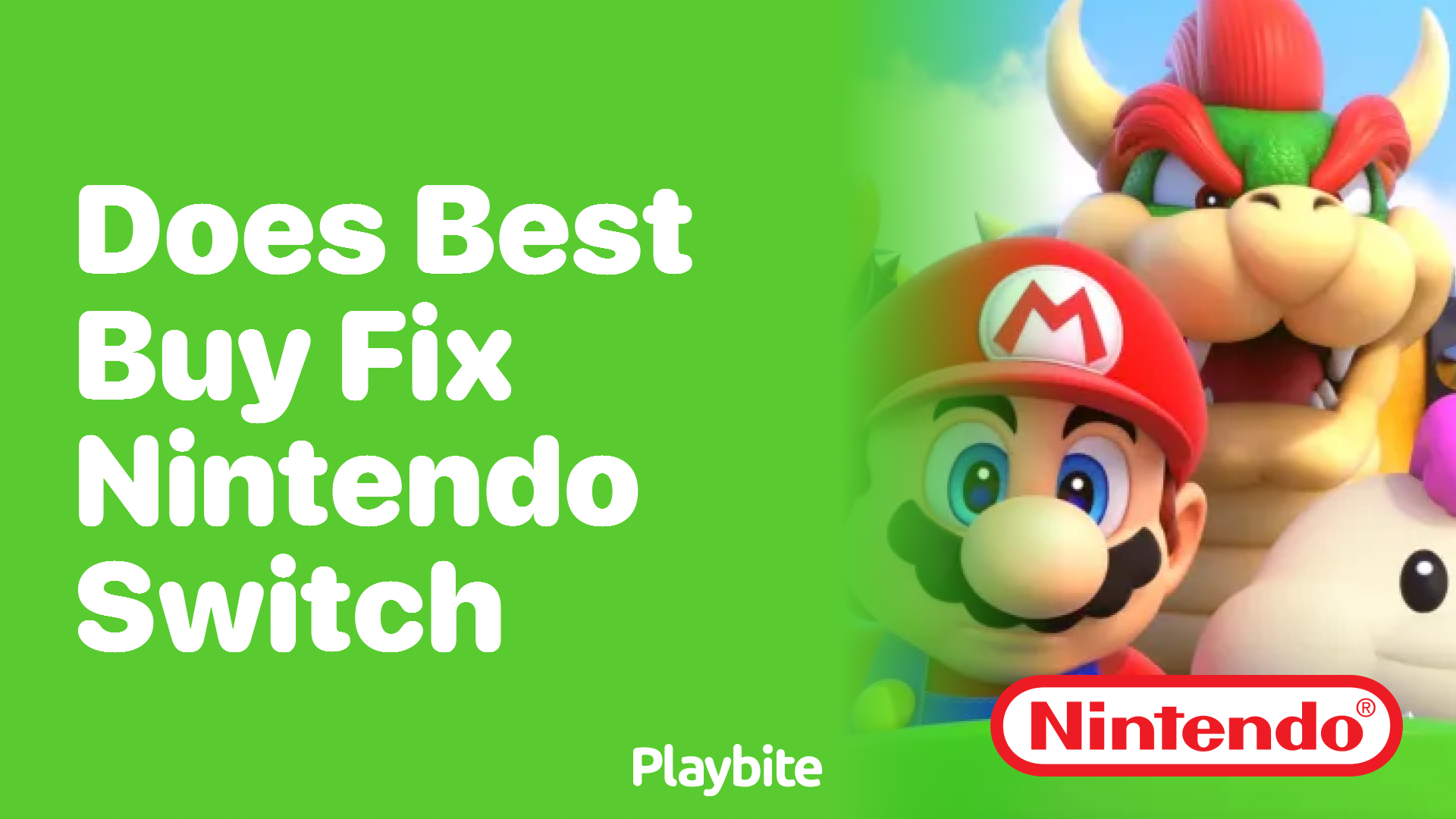 Does Best Buy Fix Nintendo Switch?