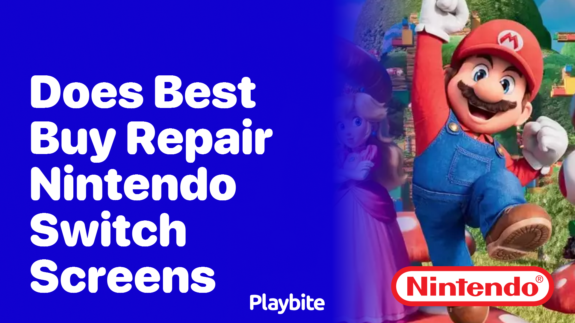 Does Best Buy Repair Nintendo Switch Screens?