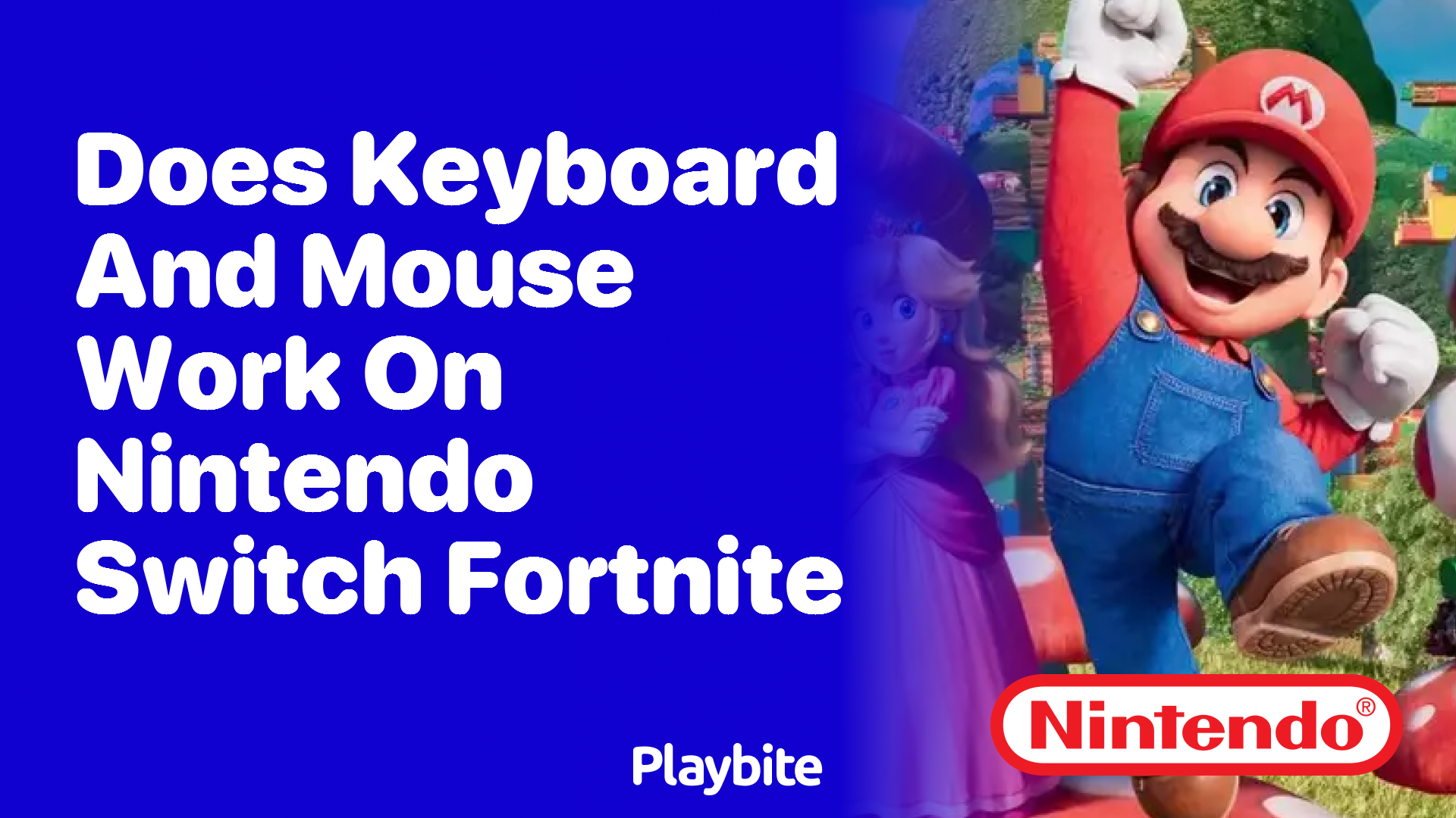 Does Keyboard and Mouse Work on Nintendo Switch Fortnite?